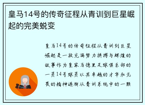皇马14号的传奇征程从青训到巨星崛起的完美蜕变